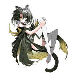 Rule 34 | 1girl, absurdres, animal ears, arknights, ass peek, bare shoulders, black dress, cat ears, chinese commentary, choker, closed mouth, commentary request, dress, floating, grey hair, hair ornament, hatching (texture), highres, knees up, lace, lace choker, ling s, looking at viewer, mandragora (arknights), medium hair, off-shoulder dress, off shoulder, shaded face, simple background, solo, stirrup legwear, thighhighs, toeless legwear, white background, yellow eyes