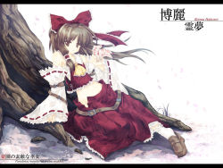 Rule 34 | 1girl, belt, brown eyes, brown hair, character name, detached sleeves, female focus, hakurei reimu, japanese clothes, letterboxed, long hair, midriff, miko, nature, navel, no panties, ofuda, open clothes, open skirt, outdoors, ponytail, sarashi, shoes, skirt, solo, tokiame, touhou, tree