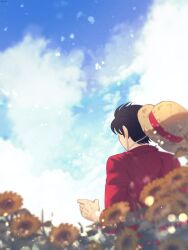 Rule 34 | 1boy, a28841434, back, black hair, commentary, flower, hat, highres, holding, male focus, monkey d. luffy, one piece, plant, red shirt, scar, scar on face, shirt, short hair, sky, solo, straw hat, sunflower, symbol-only commentary