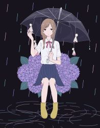 Rule 34 | 1girl, absurdres, black skirt, boots, braid, brown hair, collared shirt, flower, grey eyes, hand up, highres, holding, holding umbrella, hydrangea, invisible chair, leaf, looking at viewer, original, pleated skirt, purple flower, purple neckwear, ripples, shi oo, shirt, shirt tucked in, short sleeves, sitting, skirt, solo, transparent, transparent umbrella, twin braids, umbrella, white shirt, yellow footwear