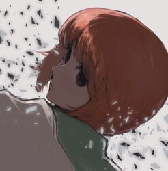 Rule 34 | 1girl, brown eyes, brown hair, close-up, closed mouth, expressionless, from side, girls und panzer, looking to the side, mityubi, nishizumi miho, portrait, profile, shards, short hair, simple background, solo, white background
