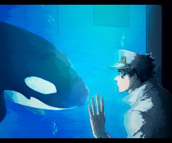 Rule 34 | 1boy, aquarium, bad id, bad pixiv id, black hair, hand on glass, hat, jojo no kimyou na bouken, kuujou joutarou, male focus, orca, otyaume 1910, solo, whale, white hat