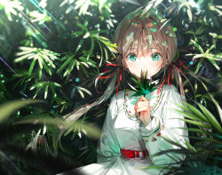 Rule 34 | 1girl, blurry, breasts, brown hair, covered mouth, dappled sunlight, day, depth of field, dress, dsmile, green eyes, holding, holding leaf, leaf, light rays, long hair, long sleeves, looking at viewer, low twintails, md5 mismatch, nature, original, resolution mismatch, sash, smelling, solo, source larger, sunlight, twintails, upper body, white dress