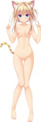 Rule 34 | 1girl, :q, absurdres, animal ears, barefoot, blonde hair, blue eyes, blush, breasts, cat ears, cat tail, collarbone, completely nude, feet, full body, gluteal fold, highres, knees together feet apart, long hair, looking at viewer, medium breasts, navel, neko-nin exheart 2, neko-nin exheart series, nekokai ritsu, nipples, no pussy, non-web source, nude, official art, smile, solo, tail, takano yuki (allegro mistic), toes, tongue, tongue out, transparent background, w arms