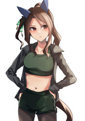 Rule 34 | 1girl, absurdres, animal ears, black pantyhose, blush, bow, brown hair, commentary request, cowboy shot, crop top, ear covers, frown, green shirt, green shorts, grey jacket, hair bow, hand on own hip, highres, horse ears, horse girl, horse tail, jacket, kakuteru sudachi, king halo (umamusume), long hair, looking to the side, midriff, navel, pantyhose, partial commentary, red eyes, shirt, shorts, simple background, solo, sportswear, stomach day, tail, umamusume, white background