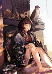 Rule 34 | 1girl, absurdres, animal, barefoot, bell, bird, blush, brown hair, brown kimono, closed mouth, commentary request, feet, green eyes, highres, holding, holding polearm, holding weapon, japanese clothes, jingle bell, kimono, knees up, legs, looking at viewer, mouth hold, naginata, obi, open clothes, original, polearm, revision, sash, short hair, solo, soranagi yuki, stalk in mouth, v-shaped eyebrows, weapon