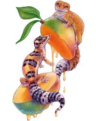 Rule 34 | artist name, commentary, dripping, english commentary, food, gecko, leaf, looking at viewer, mango, no humans, original, simple background, sliced, sushiartstudio, white background