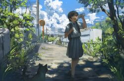 Rule 34 | 1girl, absurdres, anko1127, backpack, bag, black hair, blue sky, bottle, bridge, bright pupils, brown eyes, cat, cloud, cloudy sky, commentary request, cumulonimbus cloud, dappled sunlight, day, dress shirt, empty bottle, foliage, grey skirt, guard rail, highres, holding, holding bottle, holding strap, open mouth, original, outdoors, path, pleated skirt, ribbed socks, road, scenery, school uniform, shade, shirt, shirt tucked in, shoes, short hair, short sleeves, skirt, sky, solo, summer, sunlight, sweatdrop, tree, utility pole, walking, white pupils, white shirt, wide shot