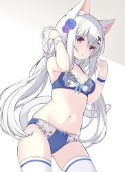 Rule 34 | 1girl, :o, animal ear fluff, animal ears, bare arms, bare shoulders, blue bra, blue flower, blue panties, blue rose, blush, bow, bow bra, bow panties, bra, breasts, cat ears, cat girl, cat tail, cleavage, collarbone, commentary request, flower, gluteal fold, hair between eyes, hair flower, hair ornament, hairclip, hands up, highres, looking at viewer, medium breasts, navel, original, panties, parted lips, purple flower, purple rose, red eyes, rose, sakuraba hikaru (loveindog), single wrist cuff, solo, tail, thighhighs, underwear, underwear only, white hair, white thighhighs, wrist cuffs, x hair ornament