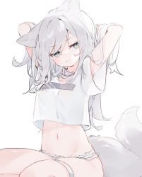 Rule 34 | 1girl, absurdres, animal ears, armpit peek, arms behind head, arms up, blue eyes, breasts, closed mouth, crop top, crop top overhang, fox ears, fox girl, fox tail, frilled panties, frills, frown, highres, long hair, looking at viewer, medium breasts, midriff, mokyuko, navel, no pants, original, panties, see-through silhouette, shirt, short sleeves, simple background, skindentation, solo, stomach, t-shirt, tail, thigh strap, thighs, underwear, white background, white hair, white panties, white shirt