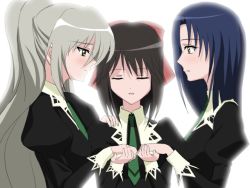 Rule 34 | 00s, 3girls, hanazono shizuma, holding hands, multiple girls, rokujou miyuki, sakuragi kaori, sanshita, school uniform, strawberry panic!, yuri