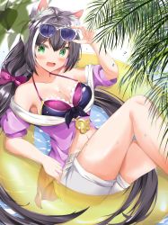 Rule 34 | 1girl, adjusting eyewear, animal ear fluff, animal ears, bare shoulders, black hair, blush, breasts, cat ears, cat girl, cleavage, eyewear on head, fang, green eyes, highres, innertube, karyl (princess connect!), karyl (summer) (princess connect!), large breasts, long hair, looking at viewer, low twintails, medium breasts, multicolored hair, navel, open mouth, palm tree, princess connect!, shizuku (shizukusushi), short shorts, shorts, sitting, solo, streaked hair, swim ring, swimsuit, tail, tree, twintails, very long hair, white hair, white shorts