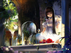 Rule 34 | 1girl, alphonse (white datura), black hair, breasts, bug, butterfly, character request, dress, flower, garden, insect, intricate background, lolita fashion, long hair, nature, plant, rose, small breasts, solo, tree, wallpaper, watermark