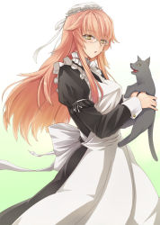 Rule 34 | 1girl, apron, black cat, blush, cat, glasses, long hair, maid, maid apron, maid headdress, open mouth, original, prime, red hair, solo, yellow eyes