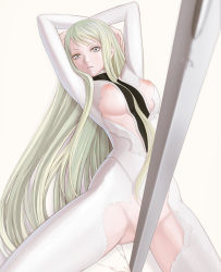 Rule 34 | 1girl, bad id, bad pixiv id, bocorot, breasts, censored, claymore (series), claymore (sword), convenient censoring, galatea, green eyes, green hair, grey eyes, long hair, matching hair/eyes, no panties, solo, spread legs, sword, torn clothes, very long hair, weapon