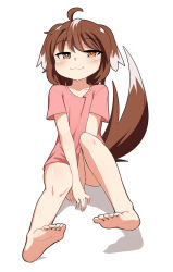 Rule 34 | 1girl, :3, ahoge, animal ears, bare legs, barefoot, between legs, brown eyes, brown hair, collarbone, commentary, cowfee, dog ears, dog girl, dog tail, feet, floppy ears, hand between legs, highres, looking at viewer, no pants, original, pink shirt, shirt, short hair, simple background, smug, solo, t-shirt, tail, toes, white background