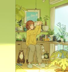 Rule 34 | 1girl, air conditioner, animal, balcony, carpet, cat, chair, cup, curtains, day, desk, fish tank, flower pot, food, highres, holding, holding flower pot, indoors, leaf, long sleeves, matsumine (twin-mix), original, pants, picture frame, pie, plant, plant focus, potted plant, seed, shelf, shirt, sitting, solo, stuffed animal, stuffed fish, stuffed toy, sunlight, table, toy, window, wooden floor