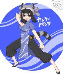 Rule 34 | 1girl, animal ears, black hair, blue background, brown eyes, chinese clothes, common raccoon (kemono friends), extra ears, grey hair, highres, kemono friends, long hair, looking at viewer, multicolored hair, notora, open mouth, pants, raccoon ears, raccoon girl, raccoon tail, shoes, simple background, tail, two-tone hair