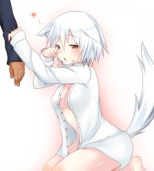 Rule 34 | 1girl, alternate costume, animal ears, blush, bottomless, breasts, brown eyes, cleavage, clothes grab, dress shirt, female focus, inubashiri momiji, kneeling, naked shirt, no bra, no headwear, open clothes, open shirt, ryoulove15, shirt, short hair, silver hair, simple background, sleepy, sleeve grab, solo, solo focus, tail, touhou, unbuttoned, wolf ears, wolf tail