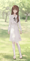 Rule 34 | 1girl, blurry, blurry background, blurry foreground, blush, brown eyes, brown hair, closed mouth, day, depth of field, dress, female focus, frilled dress, frilled sleeves, frills, full body, grass, hair between eyes, highres, light smile, long hair, long sleeves, looking at viewer, mary janes, nature, original, outdoors, pantyhose, ribbon, shoes, solo, standing, tree, white dress, white footwear, white pantyhose, yewang19