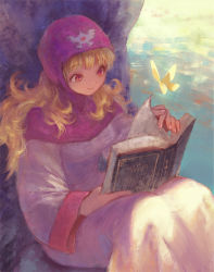 Rule 34 | 1girl, blonde hair, book, breasts, bug, butterfly, closed mouth, commentary request, dragon quest, dragon quest ii, dress, hood, bug, long hair, princess of moonbrook, robe, smile, solo, yuza
