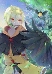 Rule 34 | 1girl, absurdres, animal, berry, bird, black feathers, black wings, blonde hair, bullock&#039;s oriole, falling leaves, feathered wings, feathers, hair between eyes, harpy, highres, hood, hood down, knot, leaf, monster girl, mouth hold, napote, orange eyes, original, outdoors, shirt, short hair, sky, solo, stalk in mouth, tree, twig, winged arms, wings, yellow shirt