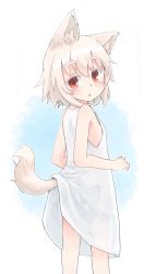 Rule 34 | 1girl, absurdres, animal ears, bare arms, blush, dress, eyebrows, flat chest, from side, highres, inubashiri momiji, kibisake, looking at viewer, looking back, multicolored background, red eyes, short hair, sleeveless, sleeveless dress, solo, standing, tail, touhou, two-tone background, white dress, white hair, wolf ears, wolf tail