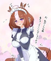 Rule 34 | ahoge, alternate costume, animal ears, blush, breasts, brown hair, commentary request, enmaided, gloves, hair between eyes, hair ornament, highres, horse ears, horse tail, large breasts, maid, maid headdress, medium hair, meisho doto (umamusume), purple eyes, simple background, tail, tail wagging, tanko shuten, translation request, umamusume