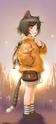 Rule 34 | 1girl, animal ears, bag, black hair, bob cut, brown hair, cat ears, cat tail, child, fish, flat chest, grass, hand in pocket, jacket, loafers, looking back, orange eyes, original, outdoors, sano toshihide, shoes, short hair, shorts, sky, socks, solo, standing, striped clothes, striped socks, sun, sunset, tail