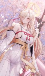 Rule 34 | 1girl, animal ears, bare shoulders, blonde hair, blue archive, blurry, blurry background, breasts, cherry blossoms, closed mouth, detached sleeves, eyes visible through hair, fox ears, fox girl, hair over one eye, halo, highres, hokkul, japanese clothes, kaho (blue archive), kimono, large breasts, looking at viewer, obi, parted bangs, rope, sash, shimenawa, sideboob, sleeveless, sleeveless kimono, solo, upper body, white kimono, wide sleeves, yellow eyes, yellow halo