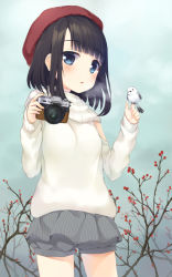 Rule 34 | 1girl, :o, bad id, bad pixiv id, bird, black eyes, black hair, breath, camera, cloud, cloudy sky, hat, holding, looking at viewer, mirei, open mouth, original, short hair, skirt, sky, solo