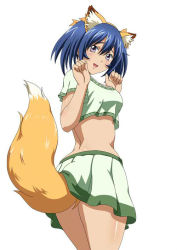 Rule 34 | 00s, 1girl, animal ears, bashoku youjou, blue hair, female focus, hair ornament, hands up, ikkitousen, legs, looking at viewer, midriff, open mouth, purple eyes, short twintails, simple background, skirt, solo, tail, twintails, white background