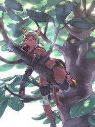 Rule 34 | 1girl, 2021, animal ear fluff, animal ears, artist name, black gloves, blonde hair, blue eyes, cat ears, cat girl, cat tail, dark-skinned female, dark skin, dated, elbow gloves, final fantasy, final fantasy xi, fingerless gloves, gloves, highres, in tree, light rays, mithra (ff11), no eyebrows, parted bangs, short hair, short twintails, solo, sunbeam, sunlight, tail, tree, twintails, yuccoshi