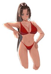 Rule 34 | 1girl, bikini, breasts, brown eyes, brown hair, cleavage, dan koflove, fatal fury, female focus, hair ribbon, highres, large breasts, long hair, matching hair/eyes, navel, o-ring, o-ring bikini, o-ring top, ponytail, red bikini, ribbon, shiranui mai, smile, snk, solo, standing, stomach, swimsuit, the king of fighters, wet, white background, white ribbon