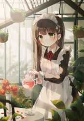 Rule 34 | 1girl, apron, blush, braid, brown hair, cup, dress, green eyes, greenhouse, highres, indoors, long hair, looking at viewer, maid, maid apron, maid headdress, original, plant, solo, spi, standing, tea, teacup, teapot