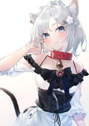 Rule 34 | 1girl, animal ears, bare shoulders, bell, black bow, blue eyes, bow, cat ears, cat girl, cat tail, closed mouth, collar, collarbone, commentary request, dress, ear piercing, flower, gradient background, grey background, hair flower, hair ornament, hakuishi aoi, head tilt, highres, looking at viewer, neck bell, original, piercing, pink flower, puffy short sleeves, puffy sleeves, red collar, short sleeves, silver hair, smile, solo, tail, tail raised, white background, white dress