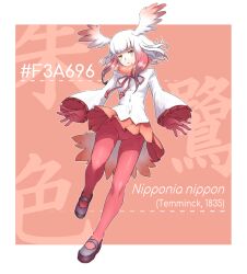 Rule 34 | 1girl, :o, bird girl, bird tail, character name, feathered wings, frills, full body, fur collar, gloves, head wings, jacket, japanese crested ibis (kemono friends), kemono friends, long sleeves, looking at viewer, multicolored hair, oso (toolate), pantyhose, parted lips, pink gloves, pink hair, pink pantyhose, pink skirt, pleated skirt, shoes, skirt, solo, tail, white hair, white jacket, wings, yellow eyes