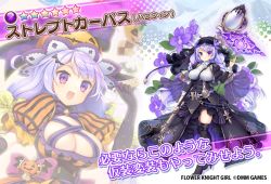 Rule 34 | 1girl, ahoge, alternate costume, armor, between breasts, black dress, black thighhighs, black veil, braid, breasts, character name, cleavage, copyright name, cross, dmm, dress, faulds, floral background, flower knight girl, full body, gloves, hair ornament, halloween costume, hat, high heels, holding, long hair, looking at viewer, mg kurino, mirror, multiple views, name connection, object namesake, official art, open mouth, projected inset, puffy sleeves, pumpkin hat ornament, purple eyes, purple hair, purple headwear, smile, standing, star (symbol), strap between breasts, streptocarpus (flower knight girl), striped clothes, striped dress, tagme, thighhighs, veil, vertical-striped clothes, vertical-striped dress, very long hair