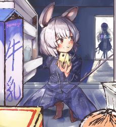Rule 34 | 2girls, :t, alternate costume, animal ears, barefoot, blush, breasts, carton, cheese, doorway, eating, food, ginnkei, grey hair, hijiri byakuren, mouse ears, mouse tail, multiple girls, nazrin, pajamas, pov, red eyes, refrigerator, see-through, short hair, silhouette, small breasts, squatting, tail, touhou, x-ray