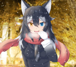 Rule 34 | 1girl, animal ear fluff, animal ears, artist request, black hair, blue eyes, blush, breasts, fur collar, gloves, grey wolf (kemono friends), heterochromia, highres, kemono friends, looking at viewer, medium breasts, multicolored hair, necktie, open mouth, plaid necktie, red scarf, scarf, solo, two-tone hair, white gloves, white hair, wolf ears, wolf girl, yellow eyes