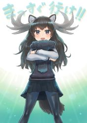 Rule 34 | 10s, 1girl, :d, animal ears, antlers, black pantyhose, brown eyes, brown hair, crossed arms, fur collar, horns, kemono friends, lens flare, long hair, long sleeves, looking at viewer, moose (kemono friends), moose ears, moose tail, open mouth, pantyhose, pleated skirt, roozin, shiny clothes, simple background, skirt, smile, solo, tail, thighhighs, translation request