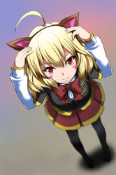 Rule 34 | 10s, 1girl, ahoge, akuma no riddle, animal ears, bad id, bad pixiv id, black pantyhose, blonde hair, blush stickers, bow, c-wing, fake animal ears, from above, hashiri nio, looking at viewer, pantyhose, red eyes, skirt, solo