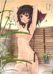 Rule 34 | 1girl, armpits, arms behind head, arms up, bow, breasts, brown hair, censored, convenient censoring, female focus, fundoshi, hair bow, hair tubes, hakurei reimu, japanese clothes, leaf censor, mana (remana), medium breasts, navel, nipples, onsen, petals, red eyes, solo, topless, touhou, underwear, underwear only, viewfinder