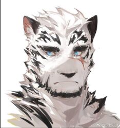 Rule 34 | 1boy, animal ears, arknights, artist request, bara, beard, facial hair, fluffy, furry, furry male, goatee, looking to the side, male focus, mountain (arknights), neck fur, nude, painterly, portrait, scar, scar across eye, short hair, sideways glance, solo, thick eyebrows, tiger boy, tiger ears, white hair