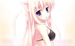 Rule 34 | 1girl, animal ears, artist request, bikini, black bikini, blonde hair, blush, cat ears, cat tail, character request, condom, condom in mouth, condom wrapper, highres, long hair, looking at viewer, mouth hold, pink hair, purple eyes, simple background, solo, source request, straight hair, swimsuit, tail, wallpaper