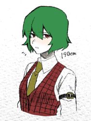 Rule 34 | 1girl, arm strap, checkered clothes, checkered vest, collared shirt, expressionless, eyelashes, eyeliner, green eyes, green necktie, hair between eyes, height, highres, kazami yuuka, makeup, mobuyama sol, necktie, non-web source, shirt, short hair, simple background, solo, source request, strap, touhou, vest, white background, white shirt