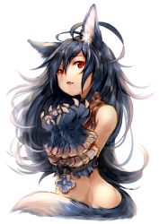 Rule 34 | 1girl, animal ear fluff, animal ears, animal hands, bare shoulders, big hair, blue hair, bound, bound wrists, claws, collar, commentary request, fang, fenrir (shingeki no bahamut), granblue fantasy, hair between eyes, highres, long hair, looking at viewer, parted lips, red eyes, shingeki no bahamut, simple background, solo, sukemyon, tail, upper body, very long hair, white background, wolf ears, wolf tail