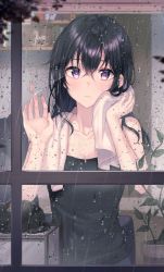 Rule 34 | 1girl, absurdres, against glass, bare arms, bare shoulders, black cat, black hair, cat, closed mouth, collarbone, hair between eyes, hand on glass, hand up, highres, long hair, looking at viewer, original, plant, purple eyes, rain, sleeveless, solo, tokkyu, towel, towel around neck, upper body, wet, wet hair, window