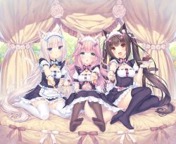 Rule 34 | 3girls, :3, :d, :o, absurdres, animal ear legwear, animal ears, apron, bad id, bad twitter id, bell, black hair, blue bow, blue eyes, blush, bow, breasts, brown eyes, brown hair, brown legwear, cake, cat ear legwear, cat ears, cat girl, cat tail, character name, chestnut mouth, chocola (nekopara), chocolate, cleavage cutout, clothing cutout, collared dress, dress, dress bow, feet, food, fraise (nekopara), full body, giving, green eyes, hair between eyes, hair ornament, head tilt, headdress, highres, holding, holding plate, holding spoon, jitome, long hair, looking at viewer, multiple girls, name tag, neck bell, nekopara, no shoes, official art, open mouth, pink bow, pink hair, plate, puffy short sleeves, puffy sleeves, purple bow, purple legwear, ribbon, sayori (neko works), short sleeves, sitting, slit pupils, small breasts, smile, spoon, tail, tareme, thighhighs, twintails, vanilla (nekopara), very long hair, waitress, wavy hair, white hair, white legwear