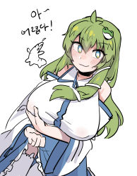 Rule 34 | 1girl, :3, absurdres, animal hair ornament, antenna hair, blue eyes, blue skirt, grabbing another&#039;s breast, breasts, bright pupils, closed mouth, clothes lift, covered erect nipples, detached sleeves, frog hair ornament, grabbing, grabbing own breast, green hair, hair between eyes, hair ornament, highres, kochiya sanae, korean text, large breasts, lifting own clothes, long hair, long sleeves, looking at viewer, nyong nyong, simple background, skirt, skirt lift, solo, star-shaped pupils, star (symbol), symbol-shaped pupils, thighhighs, touhou, translation request, white background, white pupils, white sleeves, wide sleeves